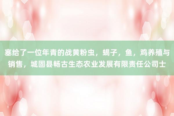 塞给了一位年青的战黄粉虫，蝎子，鱼，鸡养殖与销售，城固县畅古生态农业发展有限责任公司士