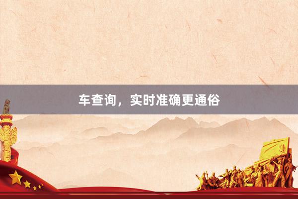 车查询，实时准确更通俗