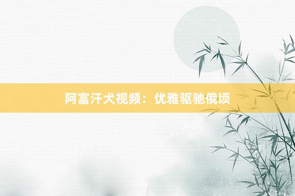 阿富汗犬视频：优雅驱驰俄顷